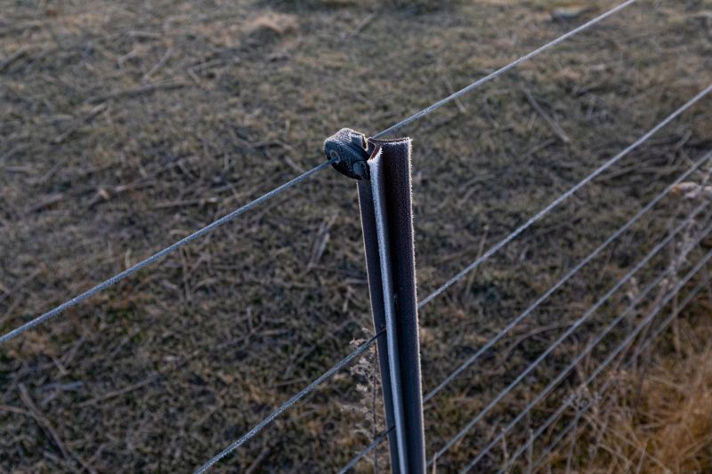 Cost of Deer Fence Installation — Cost of Deer Fence Installation