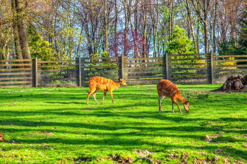 Maintenance Guidance